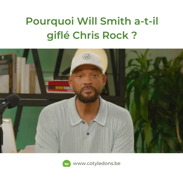 Pourquoi Will Smith a-t-il giflé Chris Rock ?